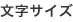 文字サイズ